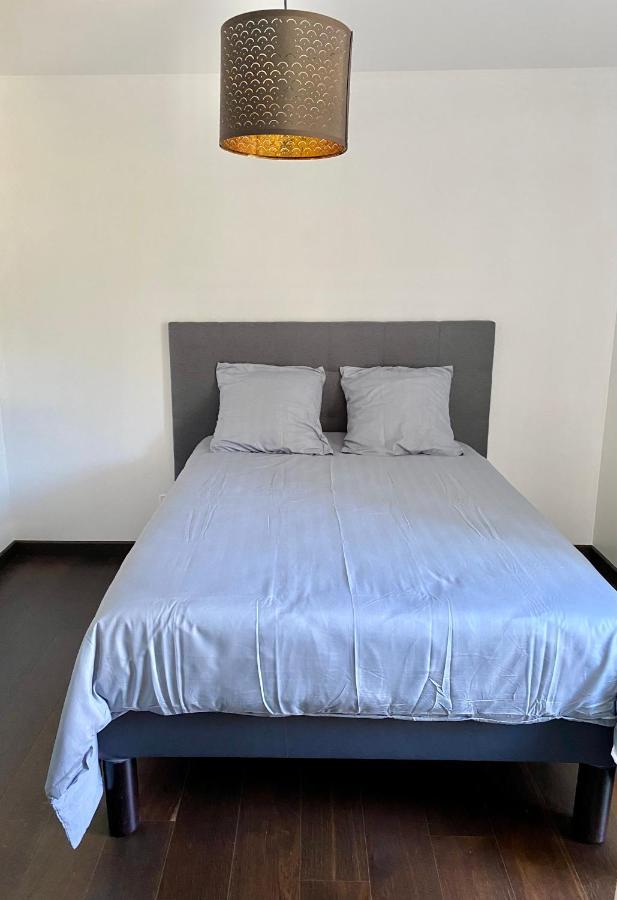 Appart Cosy Proche Du Lac Avec Terrasse อานซี ภายนอก รูปภาพ